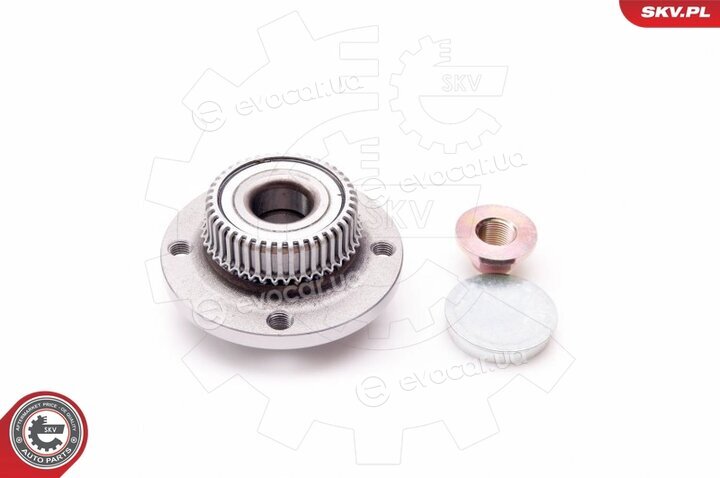 SKV 29SKV012