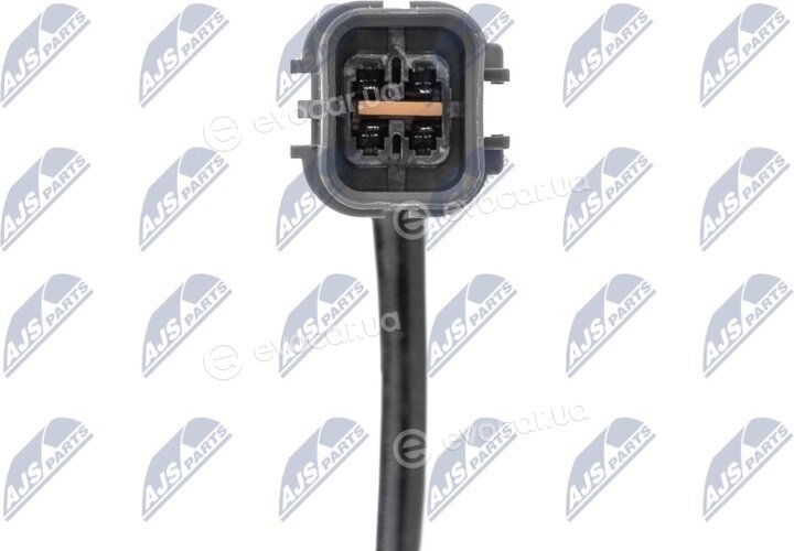 NTY ESL-MS-016