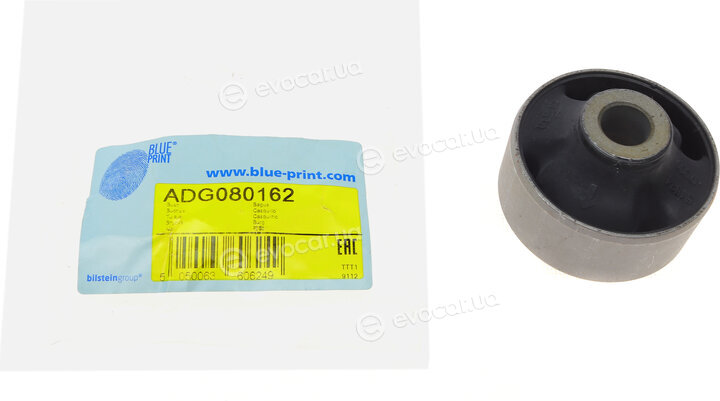 Blue Print ADG080162