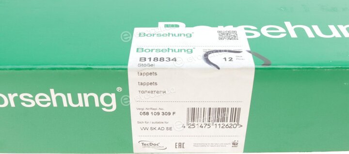 Borsehung B18834