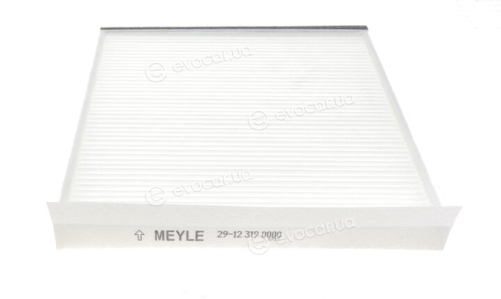 Meyle 29-12 319 0000