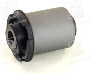 RBI M2563041