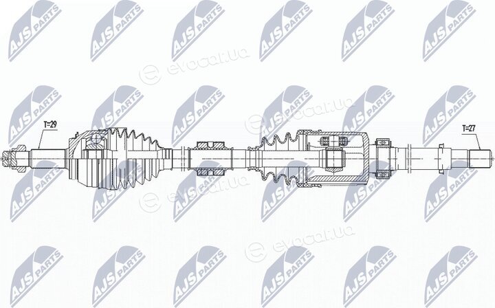 NTY NPW-NS-080