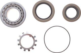 Solgy 216312