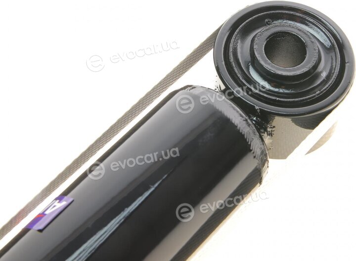 AIC 55281