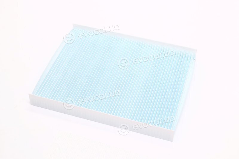 Blue Print ADG02559