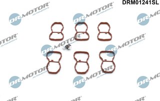 Dr. Motor DRM01241SL