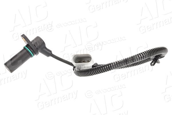 AIC 55306