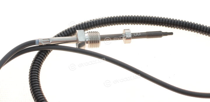 Delphi TS30166