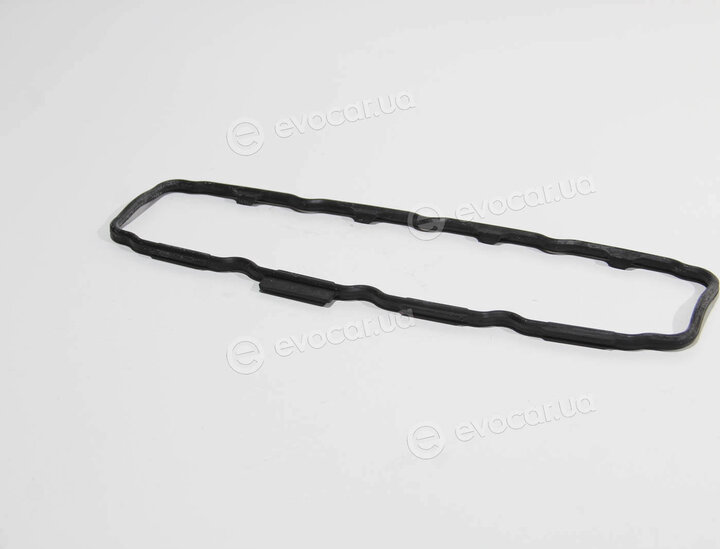 Elring 851.060