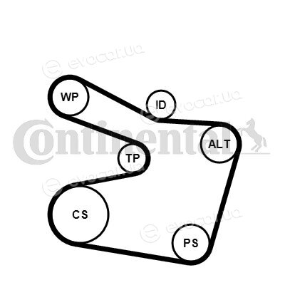 Continental 6PK1538K2