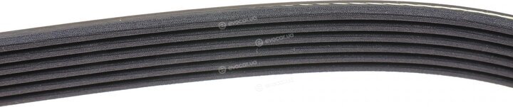 Dayco 6PK1040