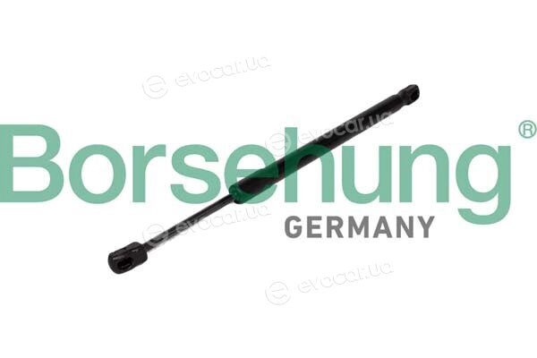 Borsehung B12477