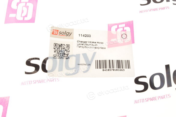 Solgy 114203