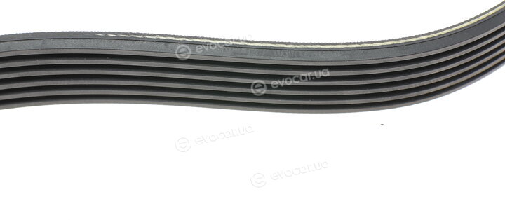 Hutchinson 1019 SK 6