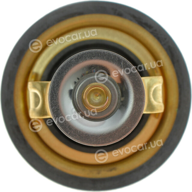 Wahler / BorgWarner 4174.82D