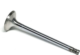 Gunes 6016