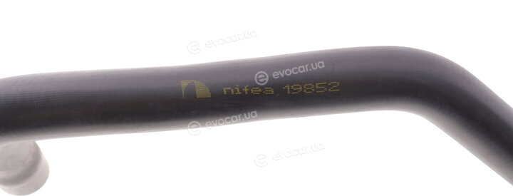 DP CS 81192 NİF