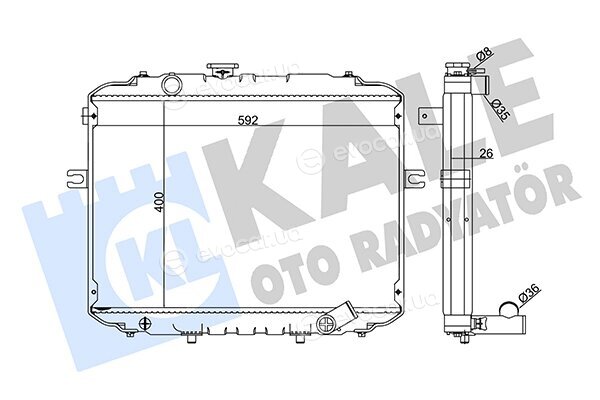 Kale 342295