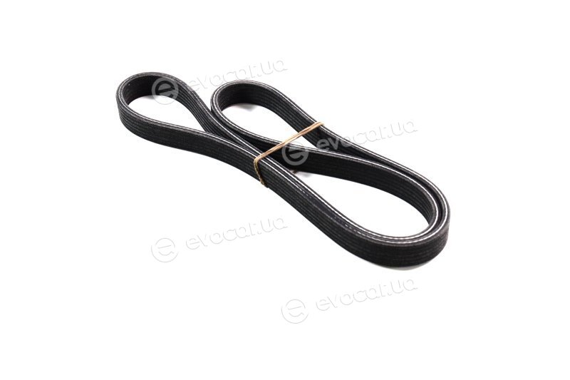 Dayco 6DPK1188