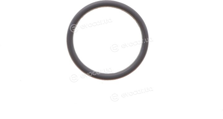 Elring 693.650