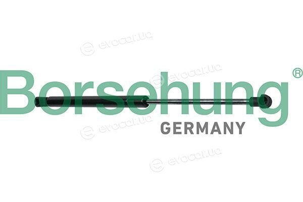 Borsehung B13091