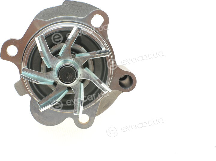 Continental CT1134WP2