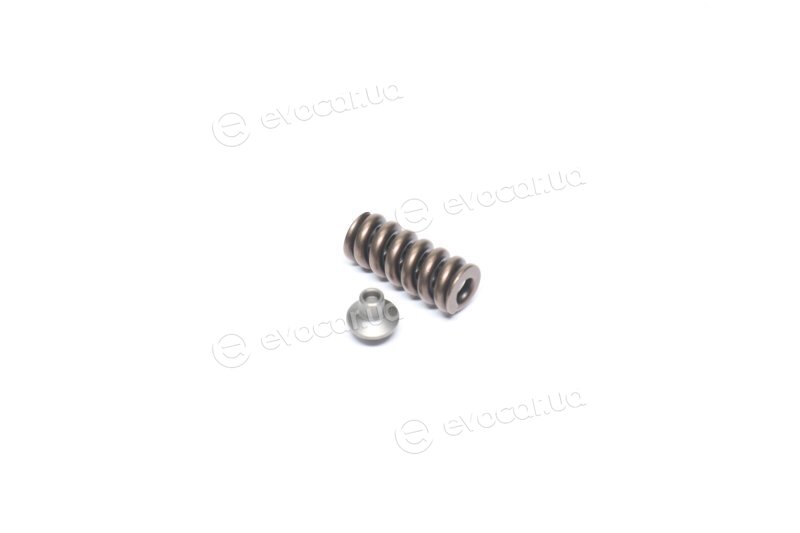 Bosch F 00H 4S0 008