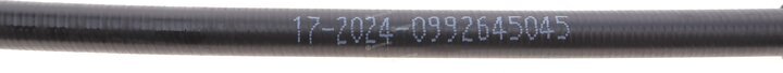 Solgy 219021