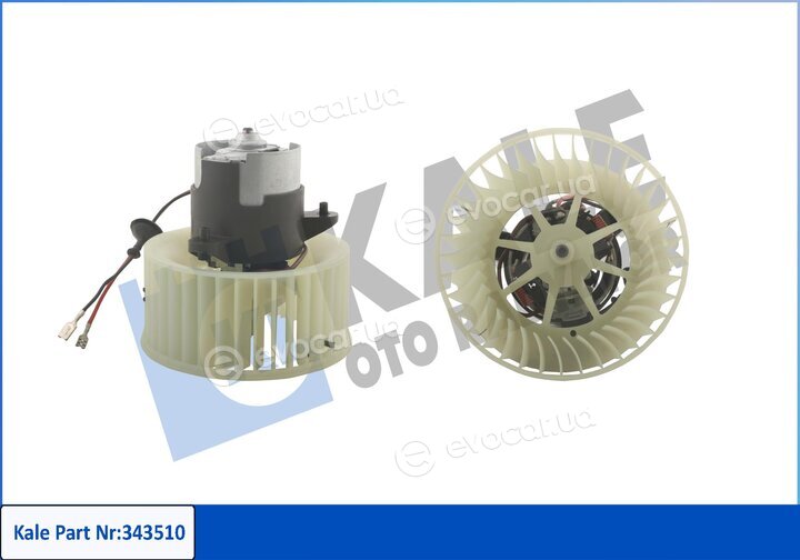 Kale 343510