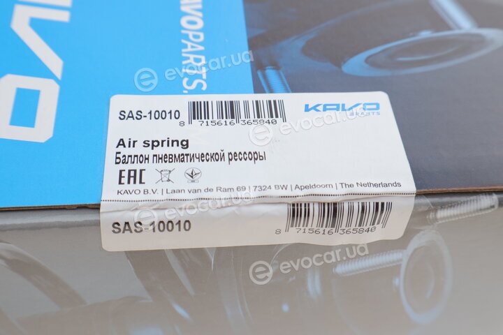 Kavo SAS-10010