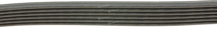 Dayco 6PK1310