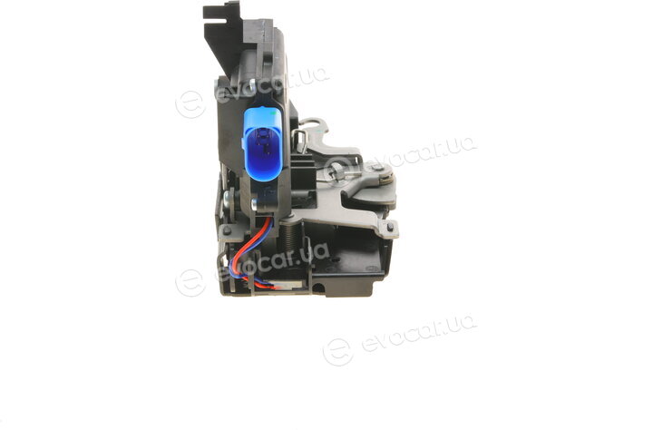 AIC 52981