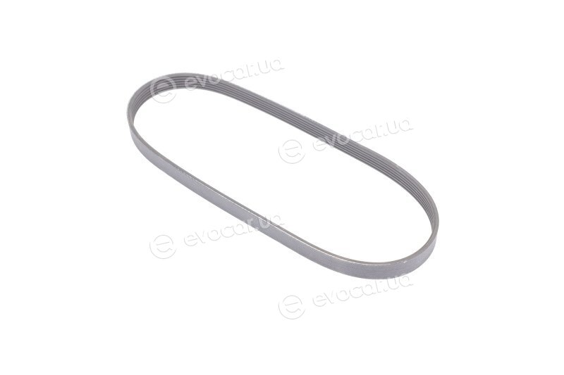 Gates 6PK843