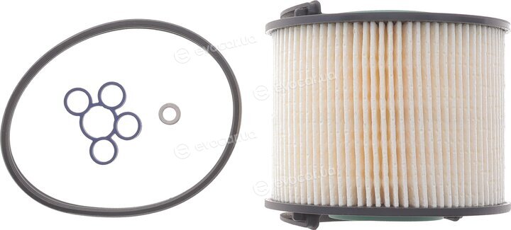 Solgy 102088