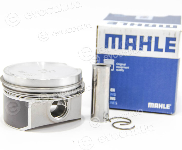 Mahle 033 04 02