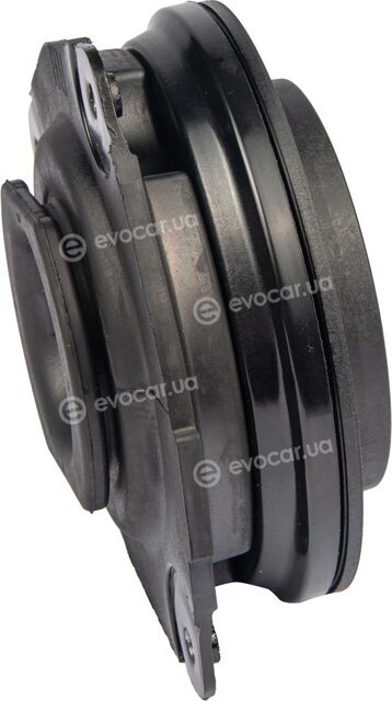 Raiso RC02806