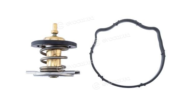 Mahle TX 494 87D