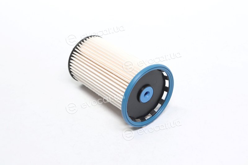 Champion CFF100646