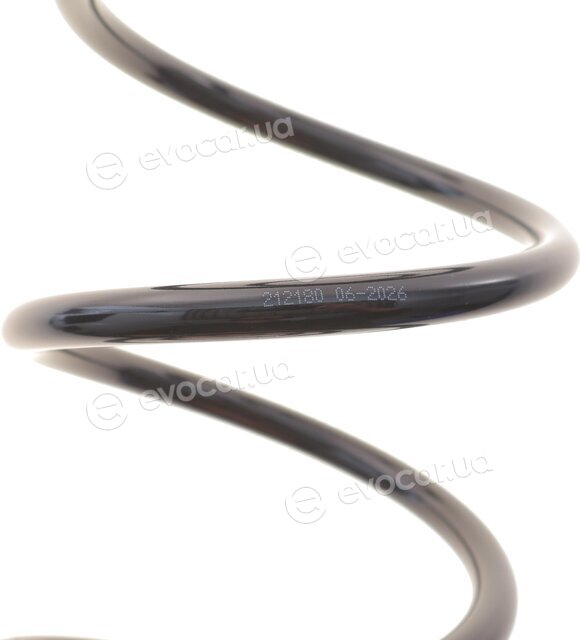 Solgy 212180