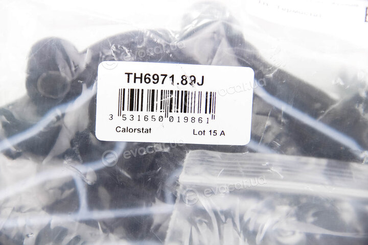 Vernet / Calorstat TH6971.89J