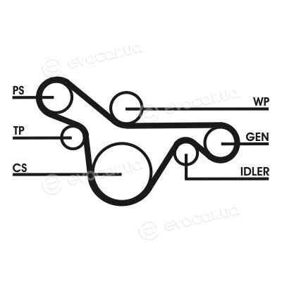 Continental 6PK1413D3