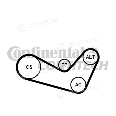 Continental 6PK1080K1