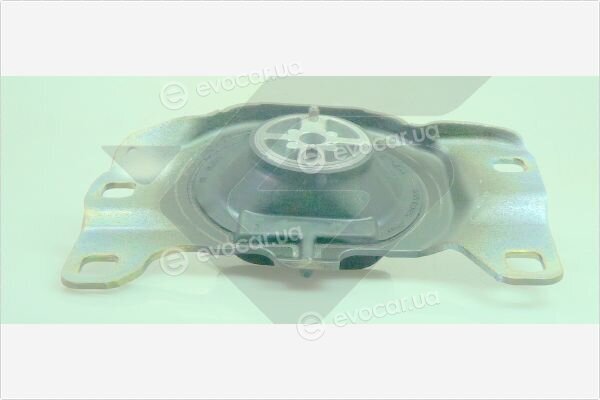 Hutchinson 538C70