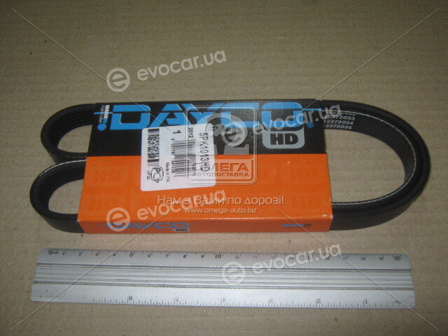 Dayco 5PK1013HD