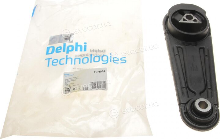 Delphi TEM084