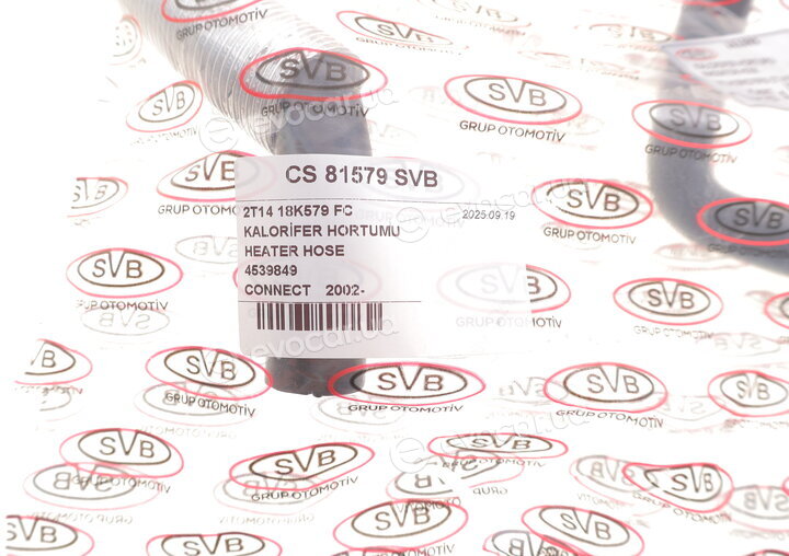 DP CS 81579 SVB