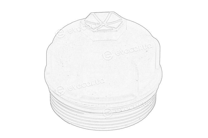 Mopar (PSA / FCA) 55231346