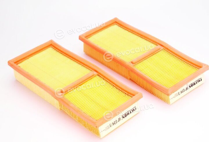 Filtron AP 034/3-2x
