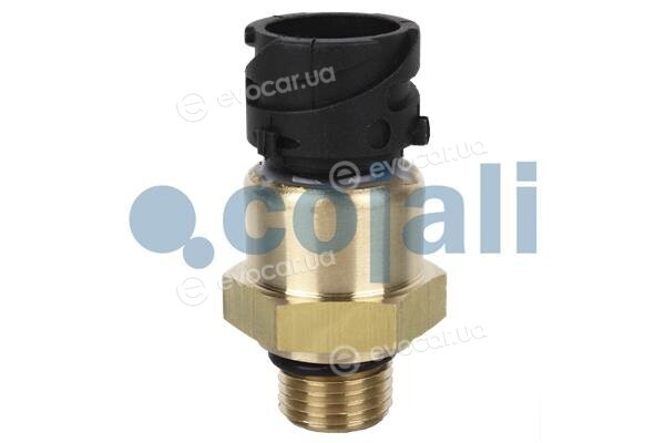 Cojali 2260264